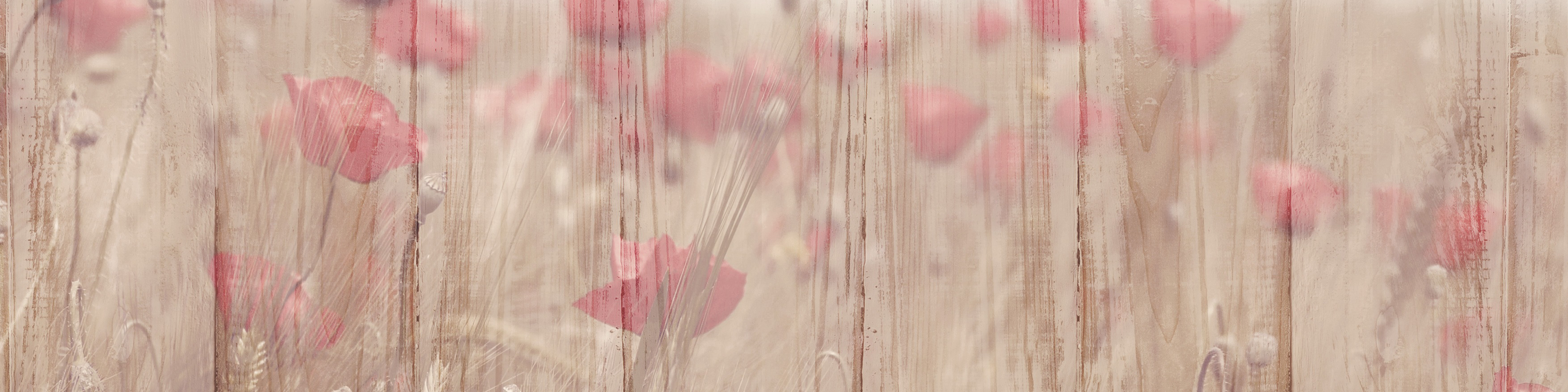header